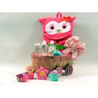 Gourmet Baby Spa Basket